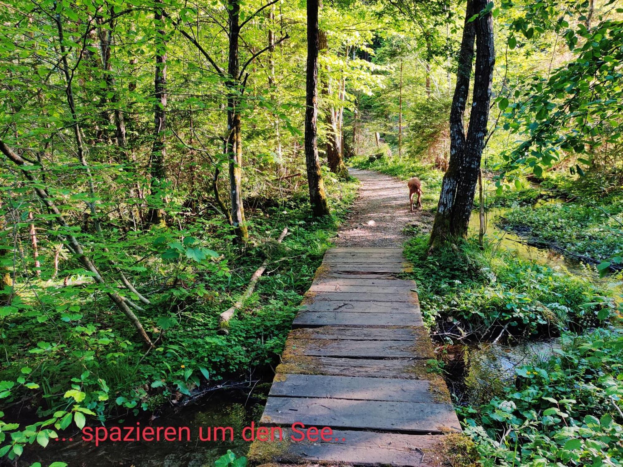 Wellness Apartment Keutschach Lakes Valley Keutschach am See Exterior foto